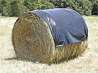 picture: hay round bale bonnets
